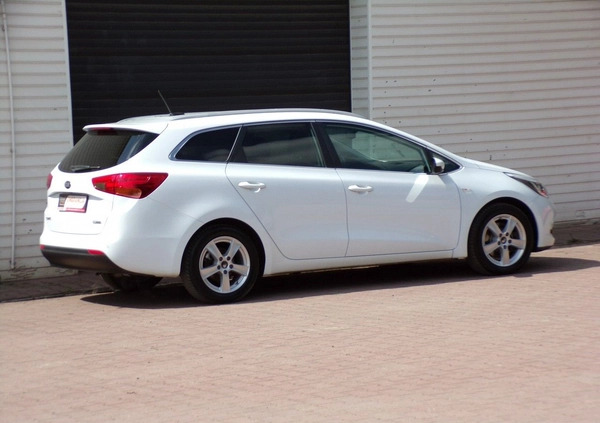 Kia Ceed cena 43900 przebieg: 173000, rok produkcji 2015 z Bełchatów małe 667
